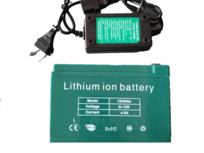 ΣΕΤ ΜΠΑΤΑΡΙΑ ΛΙΘΙΟΥ & ΦΟΡΤΙΣΤΗΣ 12V 8AH ΓΙΑ ΨΕΚΑΣΤΗΡΕΣ ΜΠΑΤΑΡΙΑΣ | Εξοπλισμός Κήπου>Ψεκαστήρες - Supergarden.gr