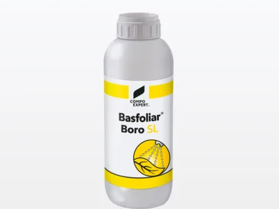 ΛΙΠΑΣΜΑ ΒΟΡΙΟΥ COMPO BASFOLIAR LIQUID BORO 1L | Μικροσυσκευασίες Λιπασμάτων>Υγρά & Διαφυλλικά λιπάσματα - Supergarden.gr