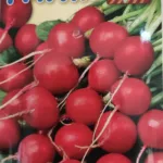 ΡΑΠΑΝΑΚΙ 17gr | Σπόροι- Βολβοί>Σπόροι Λαχανοκομικών - Supergarden.gr