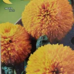 ΗΛΙΑΝΘΟΣ 1gr | Σπόροι- Βολβοί>Σπόροι Ανθέων - Supergarden.gr