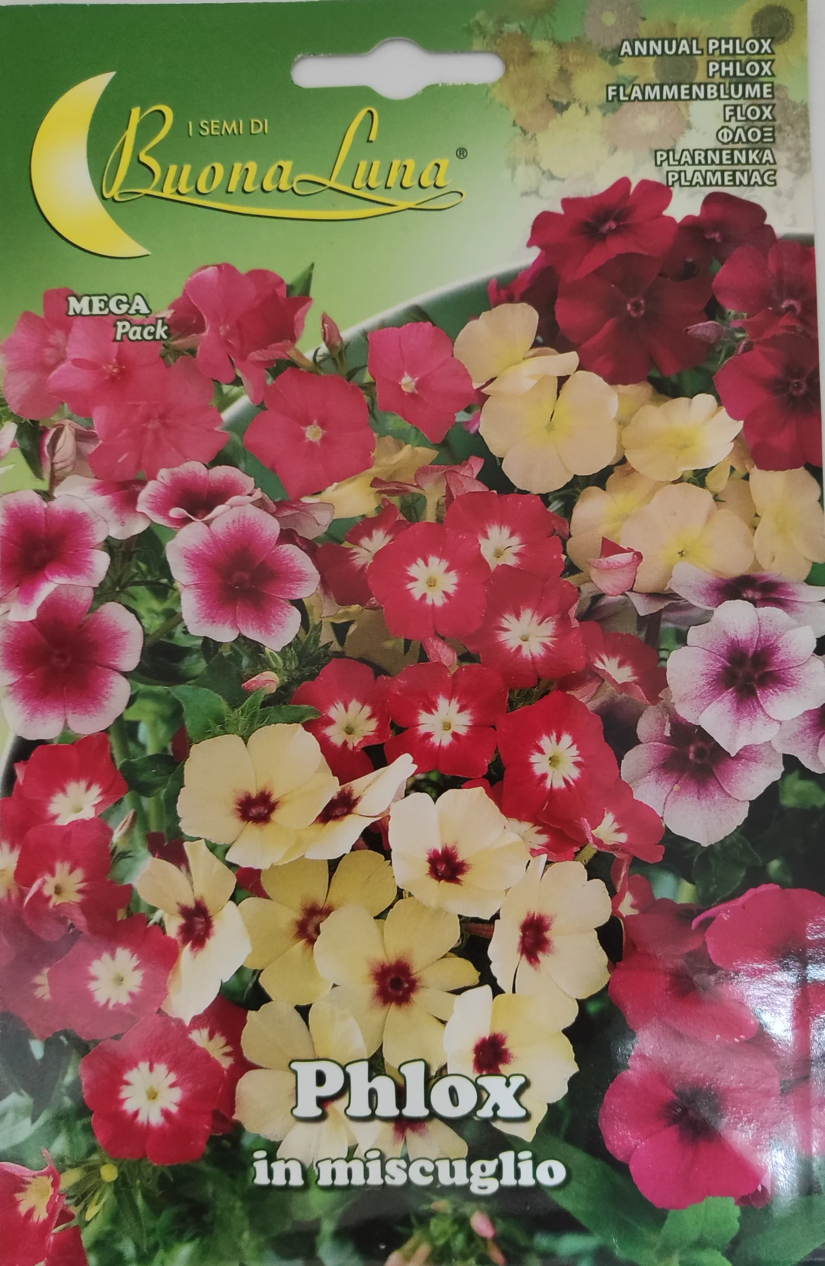 ΦΛΟΞ 1gr ΦΛΟΞ 1gr | Σπόροι- Βολβοί>Σπόροι Ανθέων - Supergarden.gr