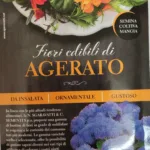 ΣΠΟΡΟΙ ΒΡΩΣΙΜΟΥ ΑΝΘΟΥΣ ΑΓΗΡΑΤΟ (AGERTAO) 9gr | Σπόροι- Βολβοί>Σπόροι Ανθέων - Supergarden.gr