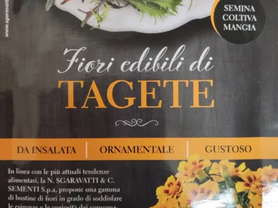 ΣΠΟΡΟΙ ΒΡΩΣΙΜΟΥ ΑΝΘΟΥΣ ΚΑΤΗΦΕΣ 13gr | Σπόροι- Βολβοί>Σπόροι Ανθέων - Supergarden.gr