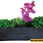 ΖΑΡΝΤΙΝΙΕΡΑ ΠΛΑΣΤΙΚΗ NovaVita 50x16cm Michelangelo με πιάτο |  - Supergarden.gr