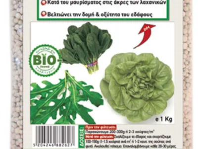 ΑΣΒΕΣΤΙΟ ΟΡΓΑΝΙΚΟ ΓΙΑ ΦΥΛΛΩΔΗ ΛΑΧΑΝΙΚΑ 1Kg | Μικροσυσκευασίες Λιπασμάτων>Ιχνοστοιχεία - Supergarden.gr
