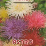 ΑΣΤΡΟ UNICUM 1gr | Σπόροι- Βολβοί>Σπόροι Ανθέων - Supergarden.gr