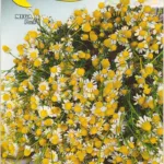 ΧΑΜΟΜΗΛΙ- CAMOMILLA comune 5gr | Σπόροι- Βολβοί>Σπόροι Αρωματικών - Supergarden.gr