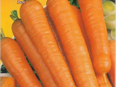 ΚΑΡΟΤΟ NANTESE DI CHIOGGIA 2 5gr | Σπόροι- Βολβοί>Σπόροι Λαχανοκομικών - Supergarden.gr