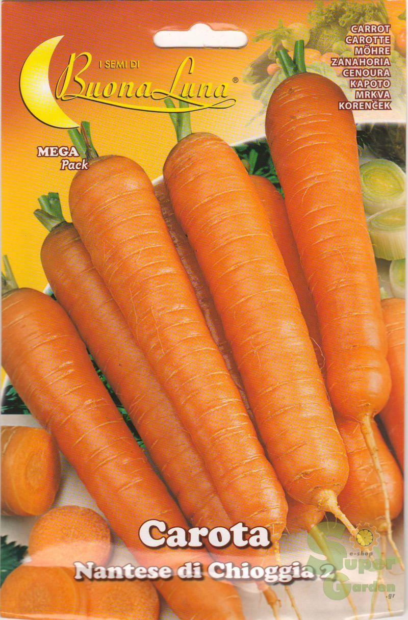 ΚΑΡΟΤΟ NANTESE DI CHIOGGIA 2 5gr ΚΑΡΟΤΟ NANTESE DI CHIOGGIA 2 5gr | Σπόροι- Βολβοί>Σπόροι Λαχανοκομικών - Supergarden.gr