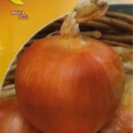 ΚΡΕΜΜΥΔΙ DORATA DI PARMA 10gr | Σπόροι- Βολβοί>Σπόροι Λαχανοκομικών - Supergarden.gr