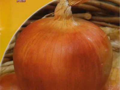 ΚΡΕΜΜΥΔΙ DORATA DI PARMA 10gr | Σπόροι- Βολβοί>Σπόροι Λαχανοκομικών - Supergarden.gr