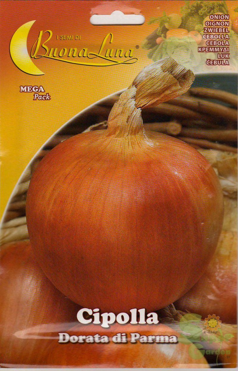ΚΡΕΜΜΥΔΙ DORATA DI PARMA 10gr ΚΡΕΜΜΥΔΙ DORATA DI PARMA 10gr | Σπόροι- Βολβοί>Σπόροι Λαχανοκομικών - Supergarden.gr