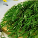 ΕΣΤΡΑΓΚΟΝ 9gr | Σπόροι- Βολβοί>Σπόροι Αρωματικών - Supergarden.gr