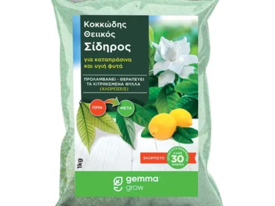 ΘΕΙΪΚΟΣ ΣΙΔΗΡΟΣ ΚΟΚΚΩΔΗΣ 1Kg | Μικροσυσκευασίες Λιπασμάτων>Ιχνοστοιχεία - Supergarden.gr