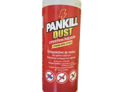 ΕΤΟΙΜΟΧΡΗΣΤΗ ΕΝΤΟΜΟΚΤΟΝΟΣ ΣΚΟΝΗ PANKILL DUST 1Kg | Αντιμετώπιση Εντόμων-Τρωκτικών>Προϊόντα απεντόμωσης - Supergarden.gr