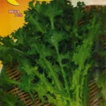 ΑΝΤΙΔΙ ΚΑΤΣΑΡΟ romanesca da taglio 10gr | Σπόροι- Βολβοί>Σπόροι Λαχανοκομικών - Supergarden.gr