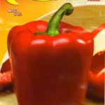 ΠΙΠΕΡΙΑ QUADRATO D'ASTI ROSSO 3gr | Σπόροι- Βολβοί>Σπόροι Λαχανοκομικών - Supergarden.gr