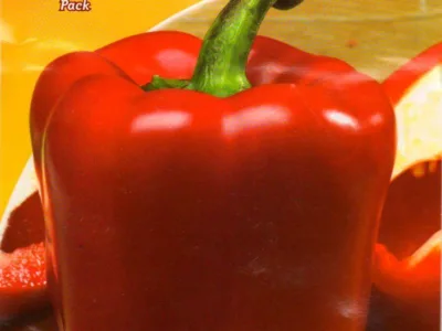 ΠΙΠΕΡΙΑ QUADRATO D'ASTI ROSSO 3gr | Σπόροι- Βολβοί>Σπόροι Λαχανοκομικών - Supergarden.gr