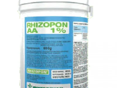 RHIZOPON AA 1% 500gr για ριζοβολία ξυλωδών μοσχευμάτων | Μικροσυσκευασίες Λιπασμάτων>Ριζοβολίας - Supergarden.gr