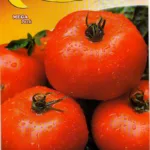 ΤΟΜΑΤΑ ACE 55 VF 10gr | Σπόροι- Βολβοί>Σπόροι Λαχανοκομικών - Supergarden.gr
