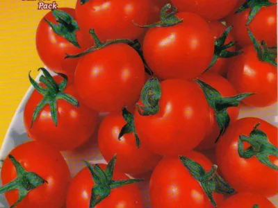 ΤΟΜΑΤΑ RED CHERRY 10gr | Σπόροι- Βολβοί>Σπόροι Λαχανοκομικών - Supergarden.gr