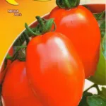 ΤΟΜΑΤΑ ROMA VF 10gr | Σπόροι- Βολβοί>Σπόροι Λαχανοκομικών - Supergarden.gr