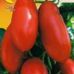 ΤΟΜΑΤΑ S.MARZANO 3 9gr | Σπόροι- Βολβοί>Σπόροι Λαχανοκομικών - Supergarden.gr