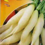 ΡΑΠΑΝΙ CANDELA DI CHIACCIO 17gr | Σπόροι- Βολβοί>Σπόροι Λαχανοκομικών - Supergarden.gr