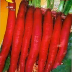 ΡΑΠΑΝΙ CANDELA DI FUOCO 17gr | Σπόροι- Βολβοί>Σπόροι Λαχανοκομικών - Supergarden.gr
