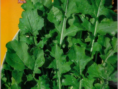 ΡΟΚΑ COLTIVATA 17gr | Σπόροι- Βολβοί>Σπόροι Λαχανοκομικών - Supergarden.gr