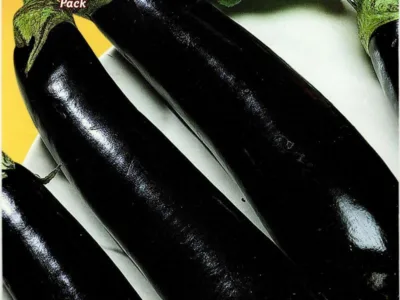ΜΕΛΙΤΖΑΝΑ VIOLETTA LUNGA 2 8gr | Σπόροι- Βολβοί>Σπόροι Λαχανοκομικών - Supergarden.gr