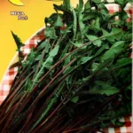 ΡΑΔΙΚΙ ΙΤΑΛΙΚΟ 15gr | Σπόροι- Βολβοί>Σπόροι Λαχανοκομικών - Supergarden.gr