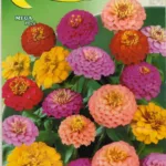 ΖΙΝΝΙΑ 0.6gr | Σπόροι- Βολβοί>Σπόροι Ανθέων - Supergarden.gr
